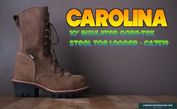 Carolina CA7519 Review – 10″ Insulated GORE-TEX Steel Toe Logger Boots