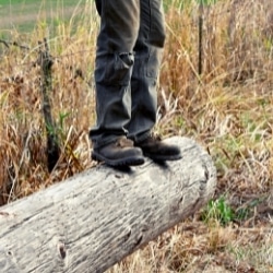 Logger boots 